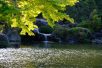 成田山公園（写真：椎名修）